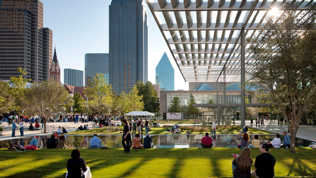 Dallas TX