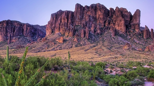 Phoenix AZ