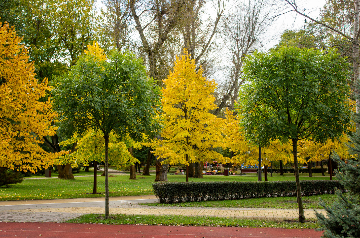 Free things to do in Boston
