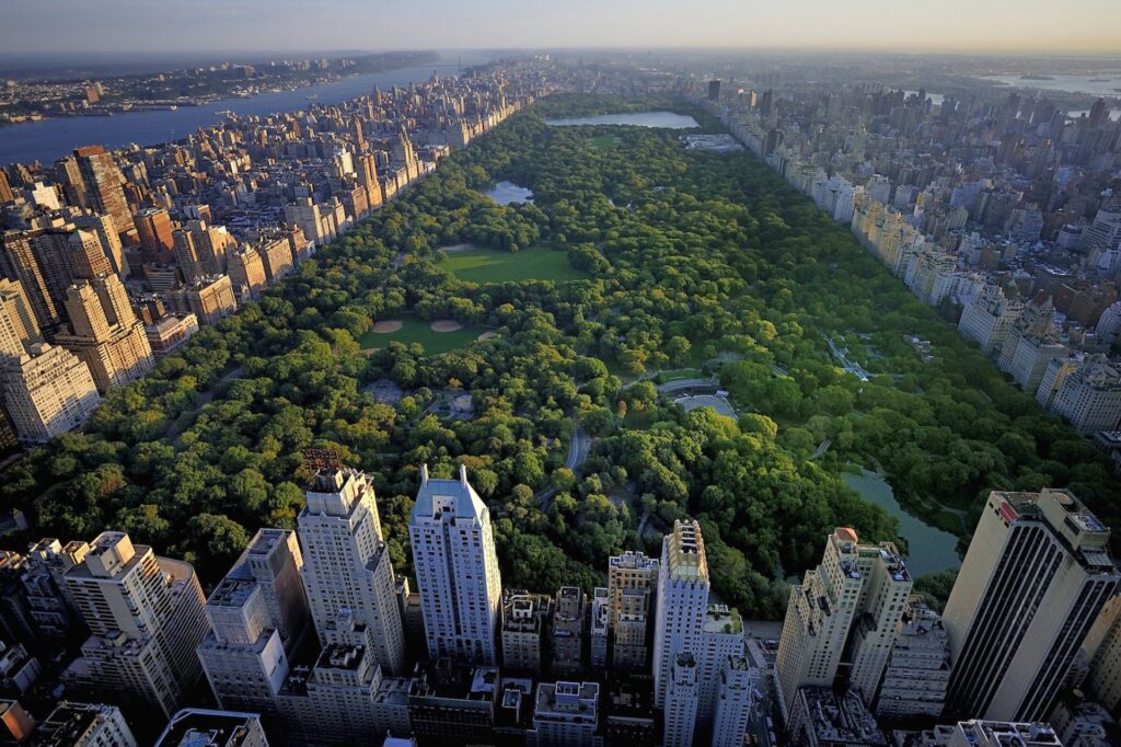 things to do in new york city