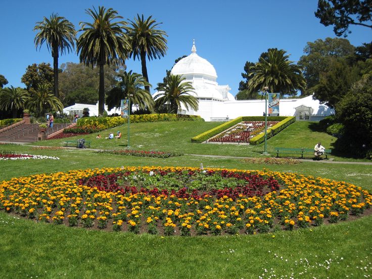 things to do in san francisco california