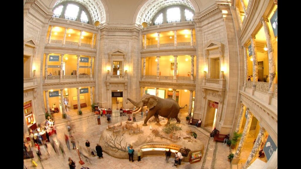 what to see in washington dc