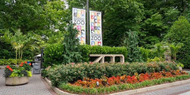 things to do in washington dc area