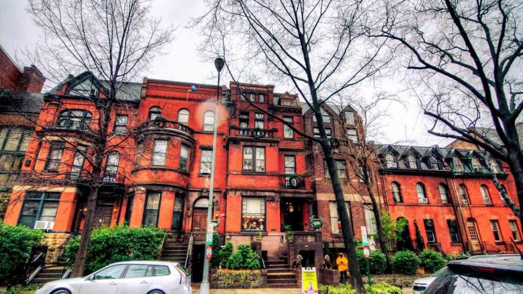 fun things to do in washington dc