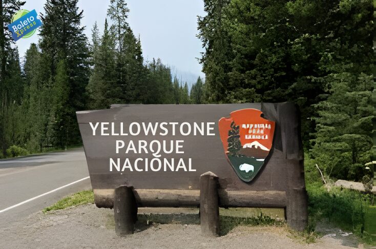 Las mejores maneras de llegar al Parque Nacional Yellowstone