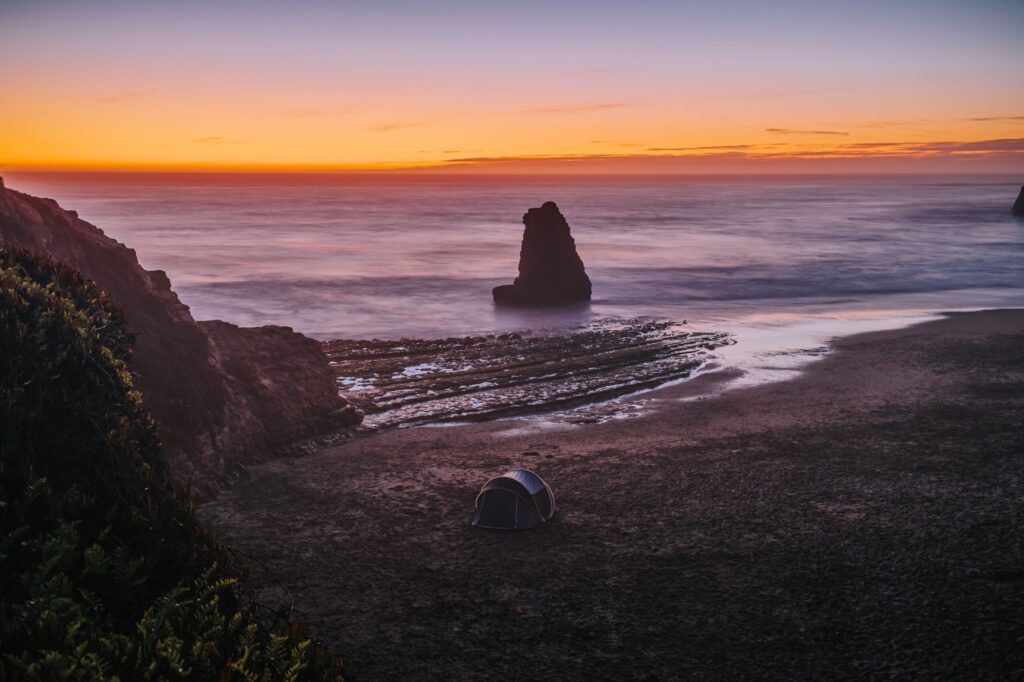 Davenport and Shark Fin Cove: A Short Coastal Day Trip North