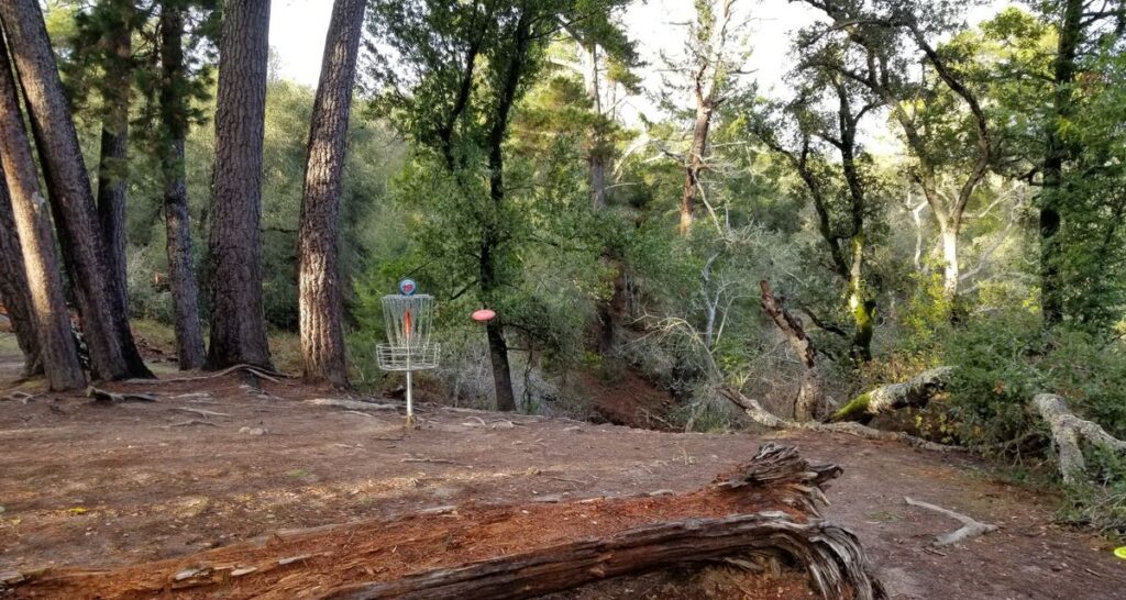 DeLaveaga Park: Hiking and Disc Golf in the Hills Above Town