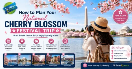 How to Plan Your National Cherry Blossom Festival Trip