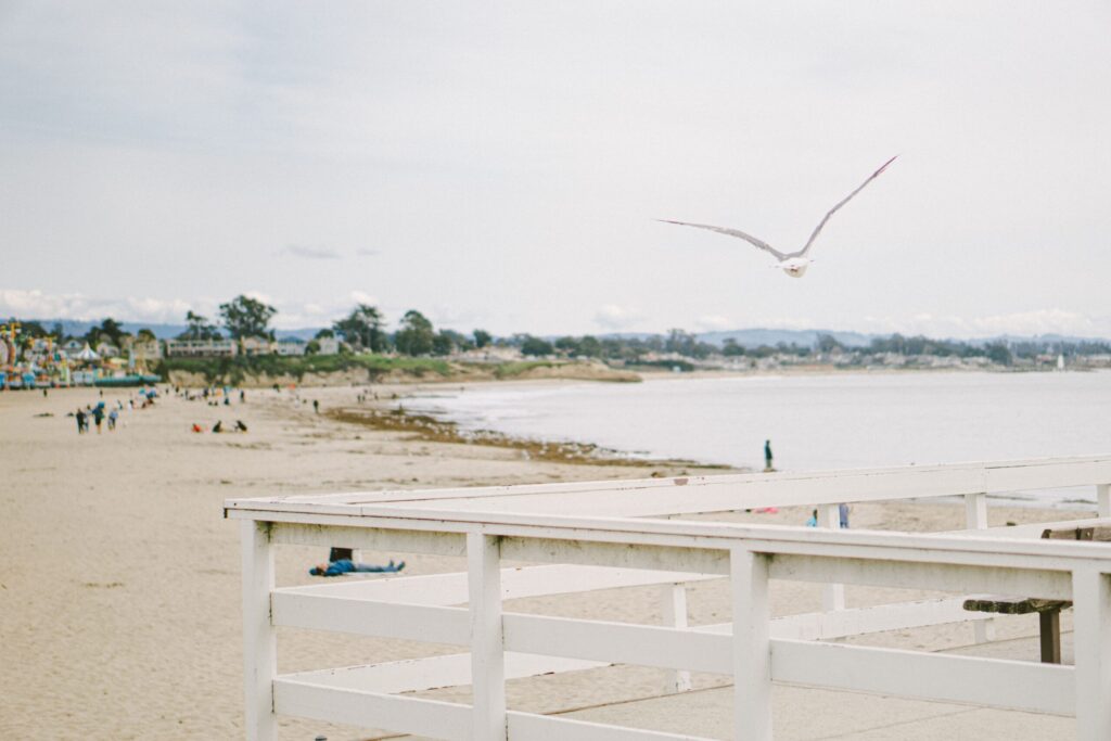 Pleasure Point: Where Locals Actually Surf