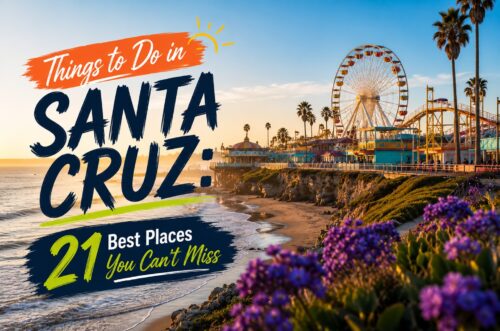 Things to Do in Santa Cruz 21 Best Places You Can’t Miss