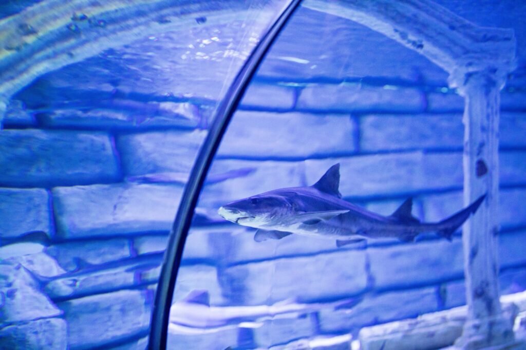 Dallas World Aquarium
