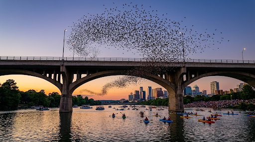 The Congress Avenue Bridge bats